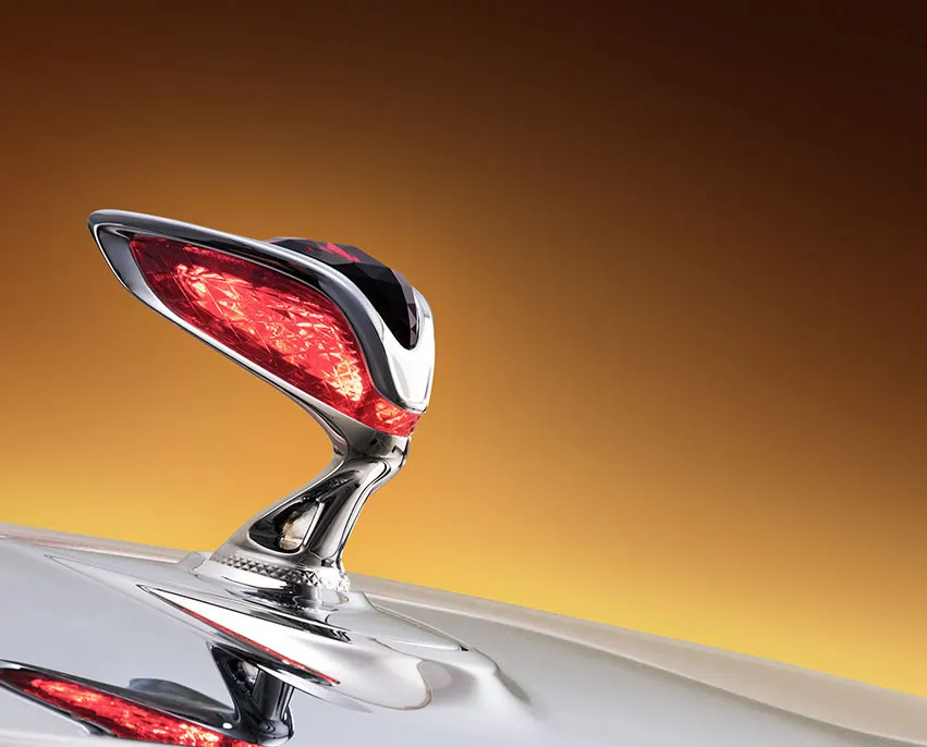 فخامة حصرية 